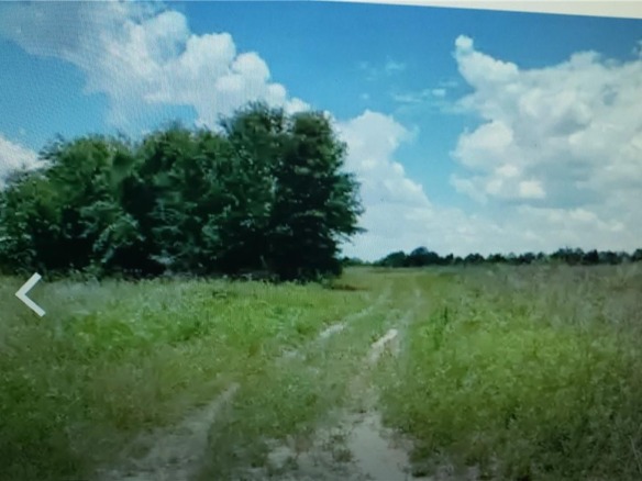 Lot D6 Palm Circle, FL 32008 — #F10306273