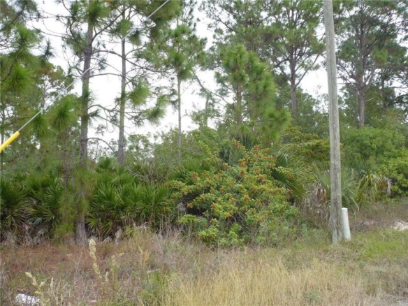 320 G Road, FL 33935 — #F10214889