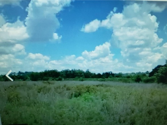 Lot D6 Palm Circle, FL 32008 — #F10306273